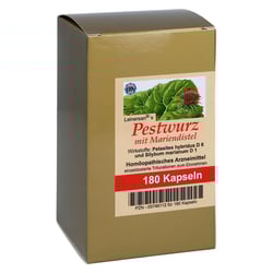 Pestwurz mit Mariendistel