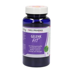 GELENK-FIT GPH Kapseln