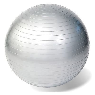 Gymnastikball Reha 65cm Sm