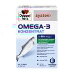 Doppelherz system Omega-3 Konzentrat