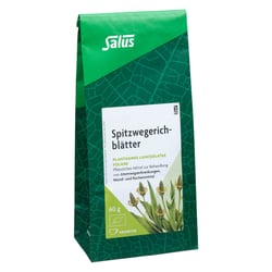 Spitzwegerichblätter Tee Salus