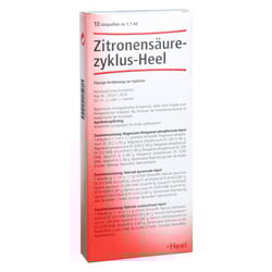 Zitronensäurezyklus Heel Ampullen