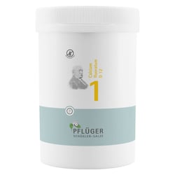 Biochemie Pflüger Nr. 1 Calcium fluoratum D 12