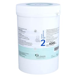 Biochemie Pflüger Nr. 2 Calcium phosphoricum D 6