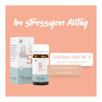 Biochemie Pflüger Nr. 5 Kalium phosphoricum D 6 Produktbild 5