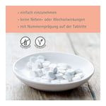 Biochemie Pflüger Nr. 5 Kalium phosphoricum D 6 Produktbild 9