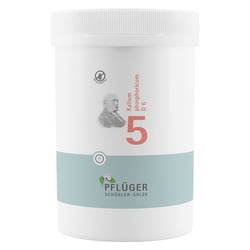 Biochemie Pflüger Nr. 5 Kalium phosphoricum D 6