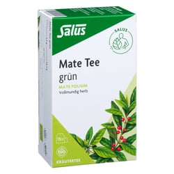 Mate Tee grün Kräutertee Mate folium bio Salus