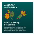 Angocin Anti-Infekt N