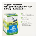 Avitale Glucosamin 750 mg + Chondroitin 100 mg