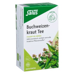 Buchweizenkraut Tee Fagopyri herba bio Salus