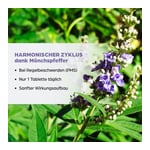 Dr. Böhm Mönchspfeffer 4 mg