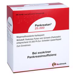 Pankreatan 25000
