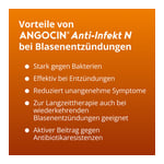 Angocin Anti-Infekt N