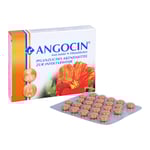 Angocin Anti-Infekt N