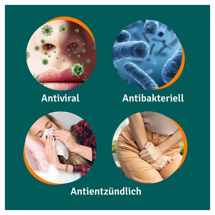 Angocin Anti-Infekt N