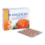 Angocin Anti-Infekt N