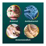 Angocin Anti-Infekt N