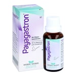 Payagastron Produktbild 3