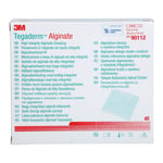 Tegaderm Alginate FK 10x10 cm Kompressen