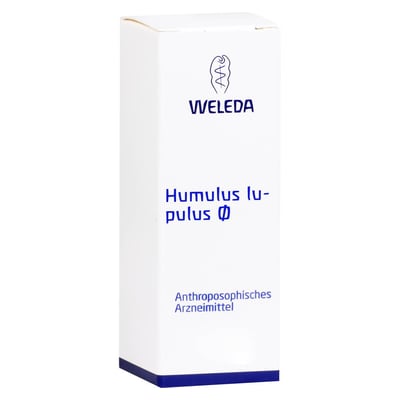 Humulus Lup Urt
