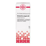 Alchemilla Vulgaris D 2  Produktbild 3