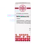 Bellis Perennis D 12