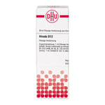 Hirudo D12