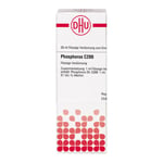 Phosphorus C 200 Produktbild 3