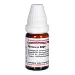 Phytolacca D 200