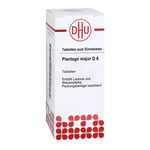 Plantago Major D 6 Produktbild 1