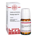 Plantago Major D 6 Produktbild 2