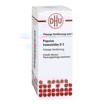 Populus Tremuloides D 3