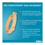 Kiltix Halsband kleine Hunde Produktbild 10