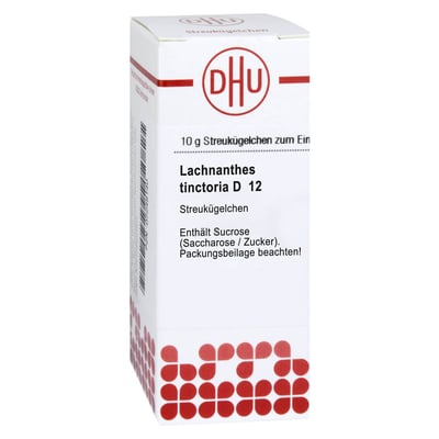 Lachnanthes tinctoria D12