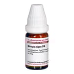 Sinapis Nigra D 6
