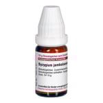 Syzygium Jambolanum D 4 