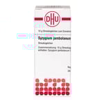 Syzygium Jambolanum D 4 