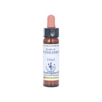 Bachblüten Star of Bethlehem Healing Herbs Tropfen Produktbild 1