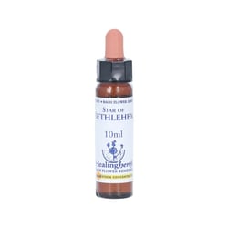 Bachblüten Star of Bethlehem Healing Herbs Tropfen