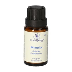Bachblüten Mimulus Healing Herbs