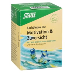 Bachblüten Tee Motivation & Zuversicht bio Salus