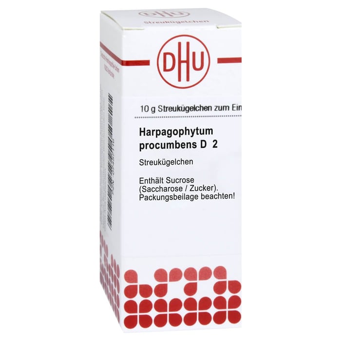 Harpagophytum Procumbens D 2
