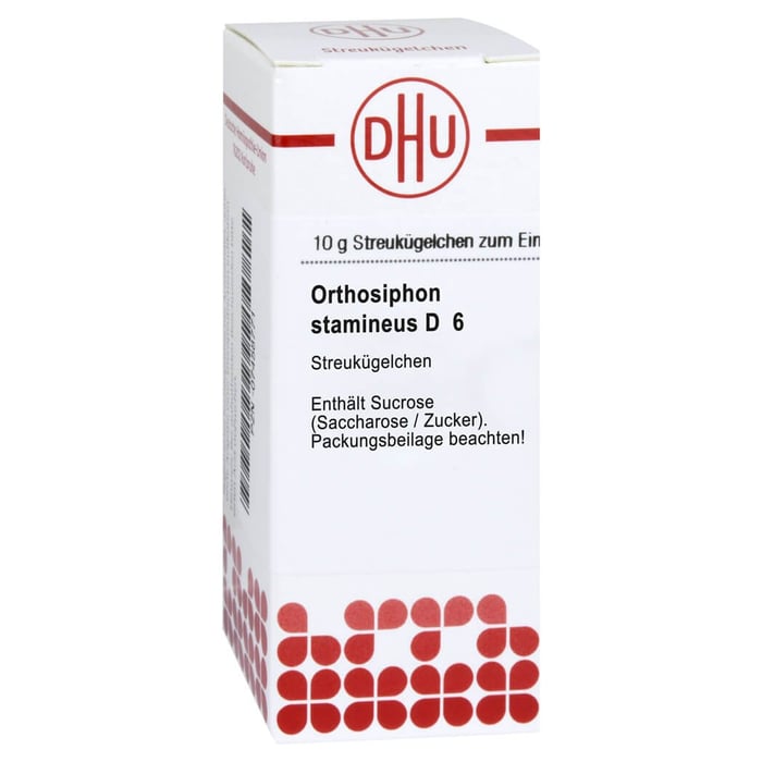Orthosiphon Stamineus D 6