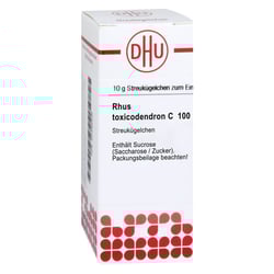 Rhus Toxicodendron C 100