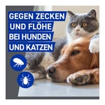 Frontline Spray gegen Zecken und Flöhe bei Hund und Katze Produktbild 2