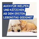 Frontline Spray gegen Zecken und Flöhe bei Hund und Katze Produktbild 3