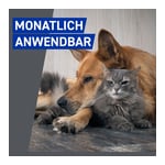 Frontline Spray gegen Zecken und Flöhe bei Hund und Katze Produktbild 5