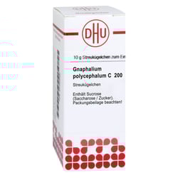 Gnaphalium Polycephalum C 200