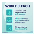 Rhinospray plus bei Schnupfen